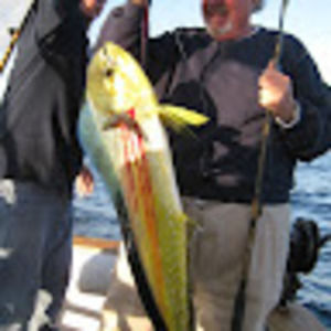 Meet your Posher, Stuart